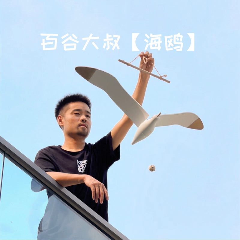 Flying Seagull