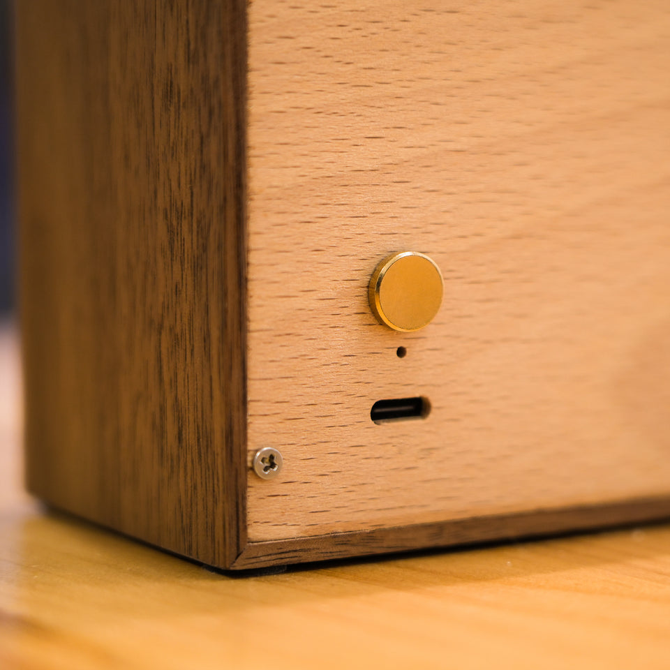 Moon-Gazing Wooden Cat Lamp