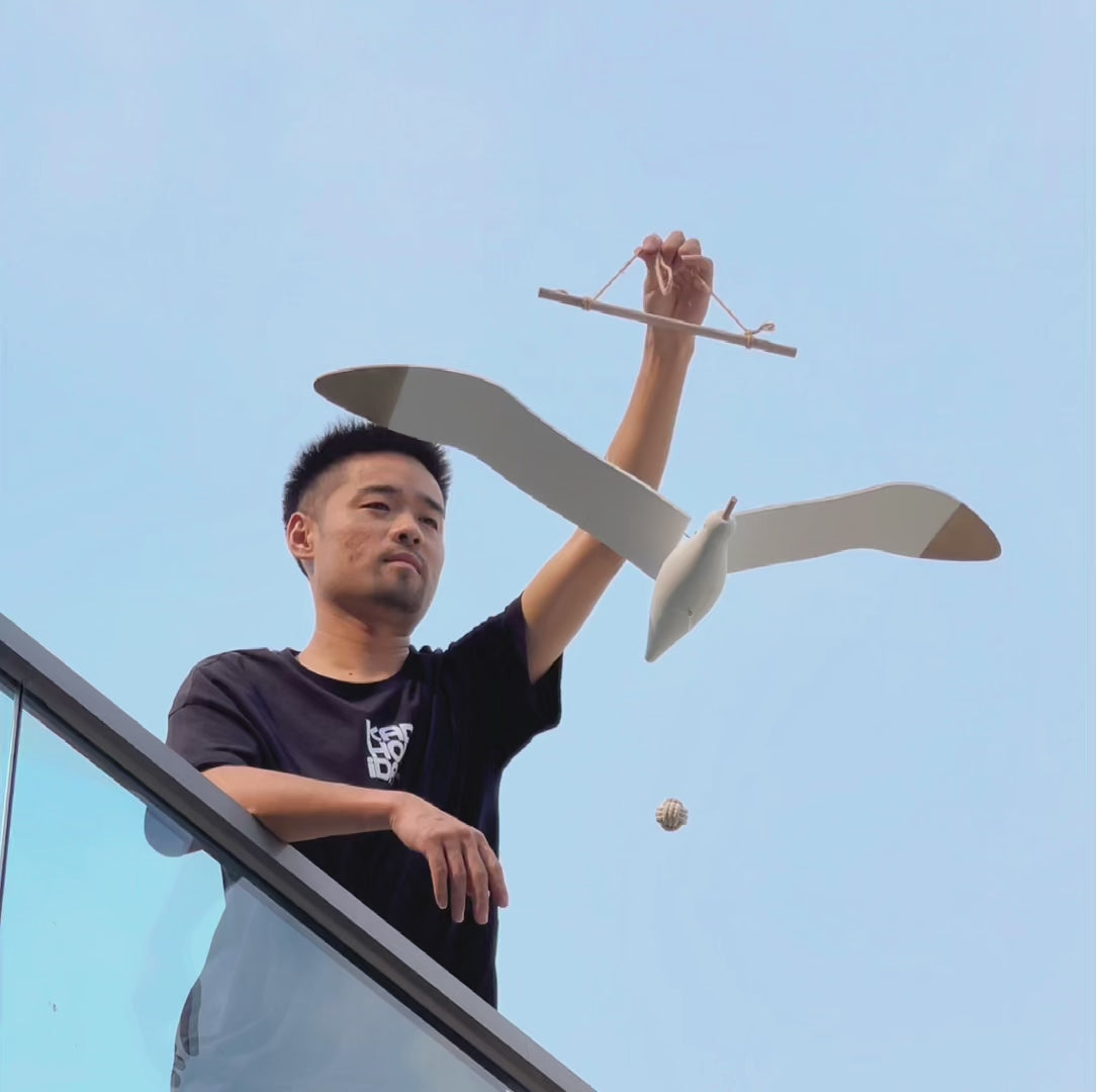 Flying Seagull